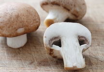 Mushrooms pizza topping