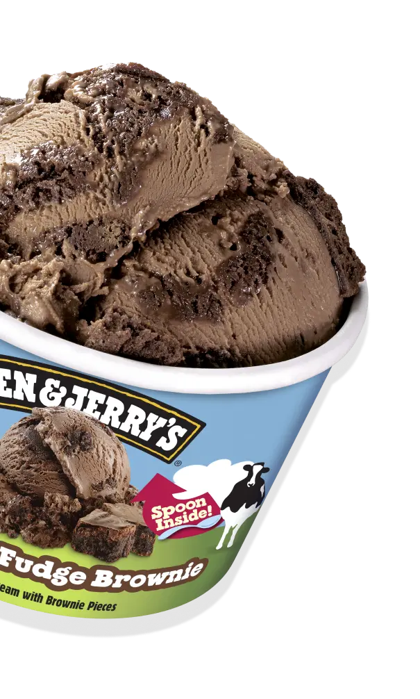 Ben & Jerry's Chocolate Fudge Brownie