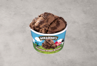 Chocolate Fudge Brownie - Ben & Jerry's 100ml